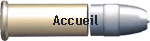 Accueil